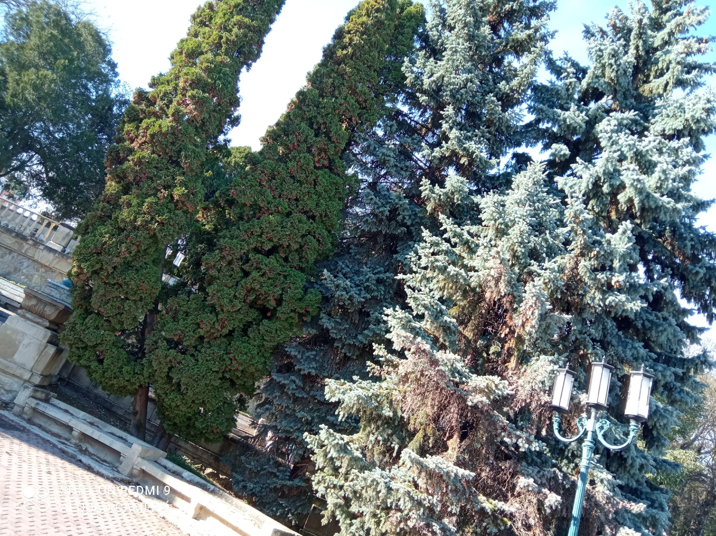 Главная достопримечательность города Ессентуки — курортный парк. Здесь уютно, спокойно и можно отдохнуть на славу5
