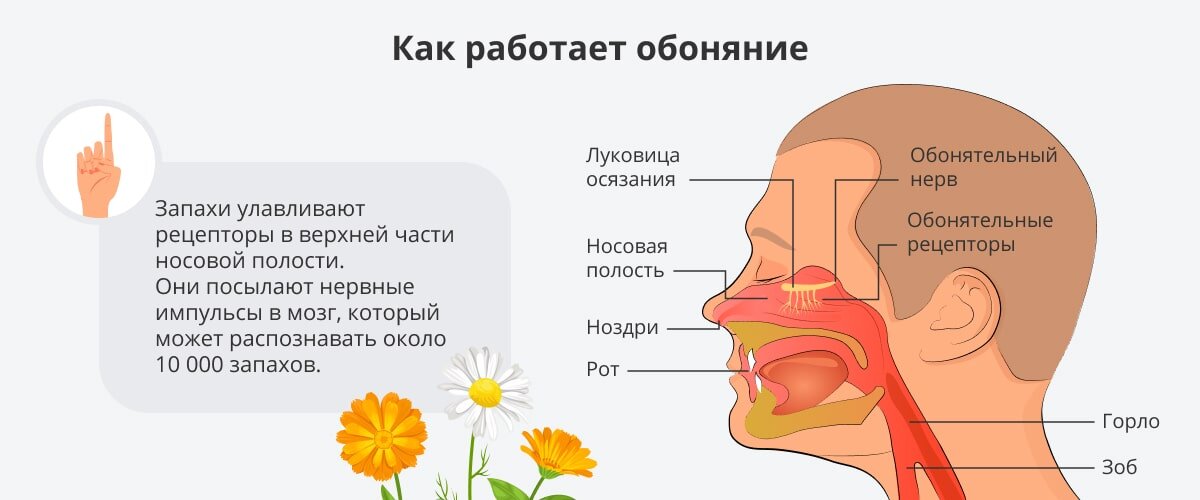 Запах в раковине – описание причин, устранение