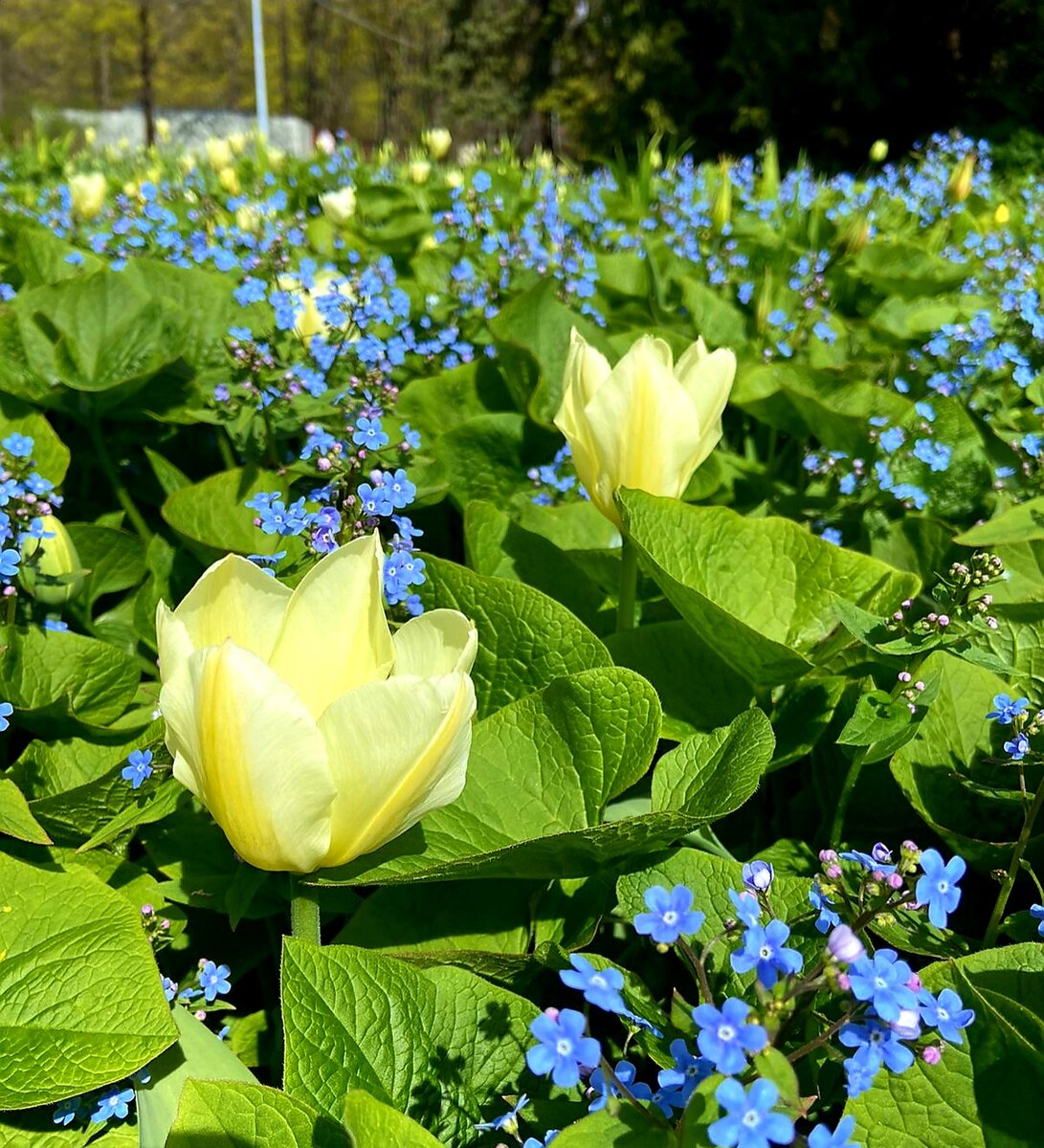 Не перестаю восхищаться красками природы!