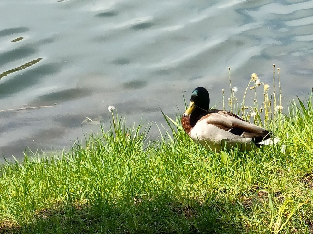 Фото из личного архива автора