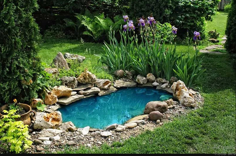 Изображение, используемое в качестве иллюстрации, взято из открытых интернет-источников.