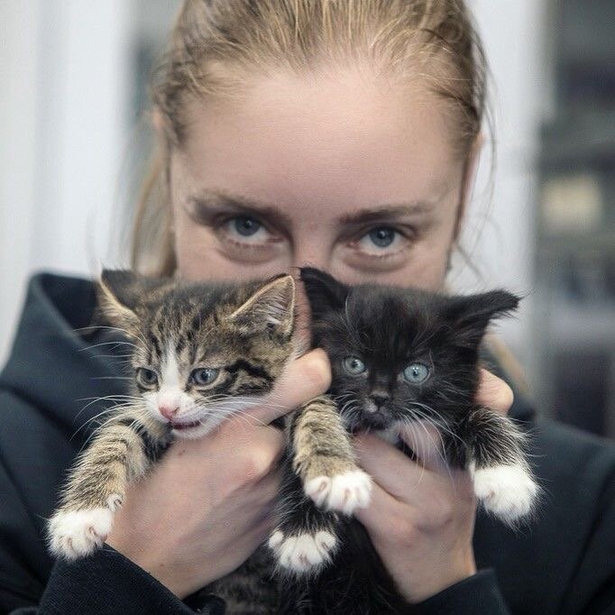 Фото- собственность канала