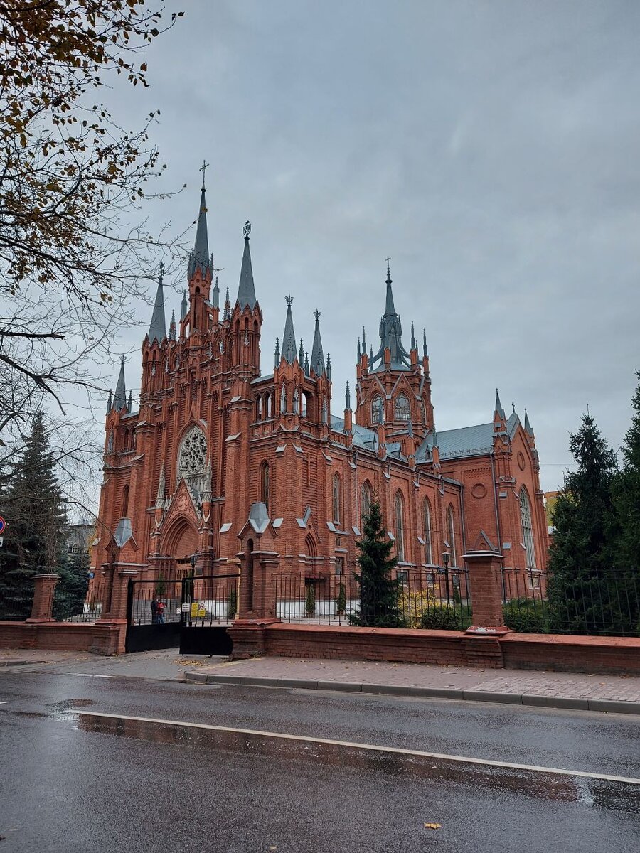 Главный вид