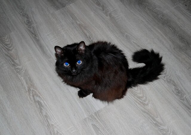 Вилетта (Вета). Фото из домашнего архива.