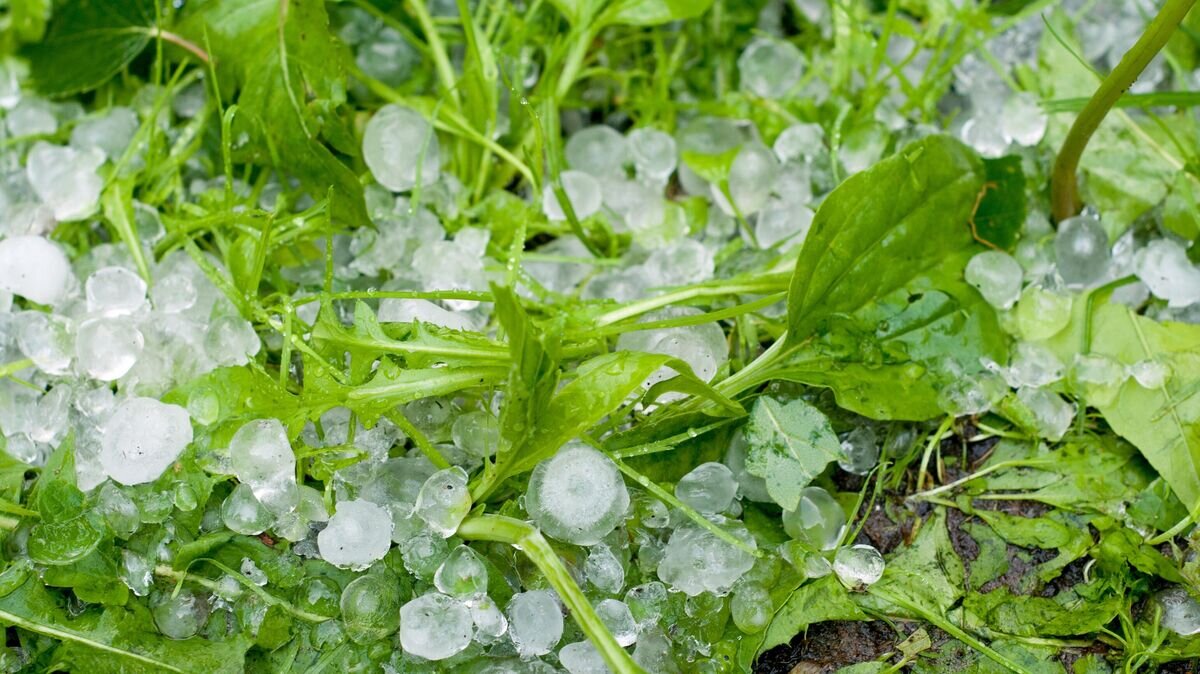    Град© РИА Новости / Дмитрий Паршин