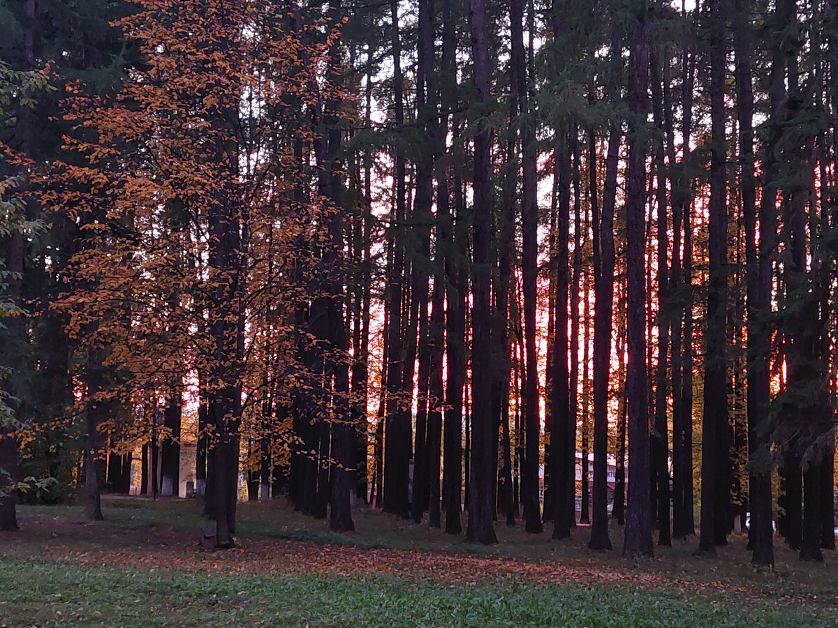 Солнце садится.  Фото моё. 