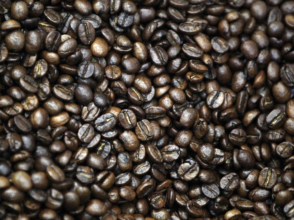    Кофейные зерна, готовые к употреблению© РИА Новости / Евгений Биятов