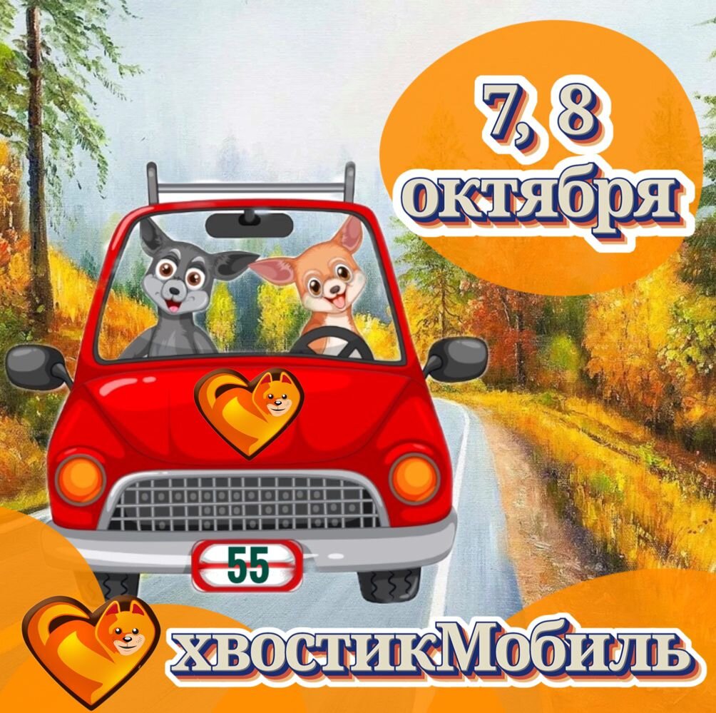 Любимая акция всех  "Омских Хвостиков"