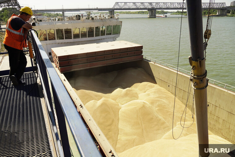    Польша готова продлить запрет на ввоз украинского зерна