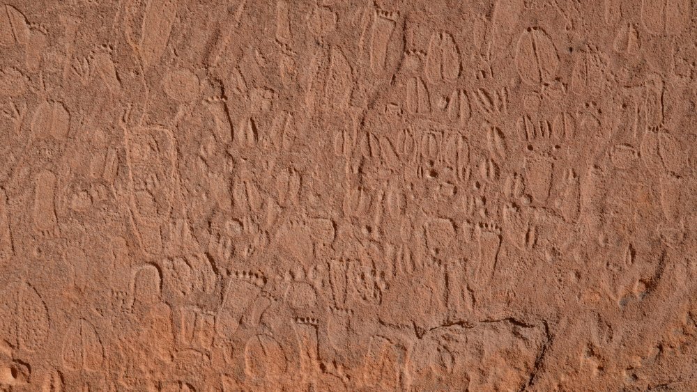    Фото: Andreas Pastoors, CC-BY 4.0