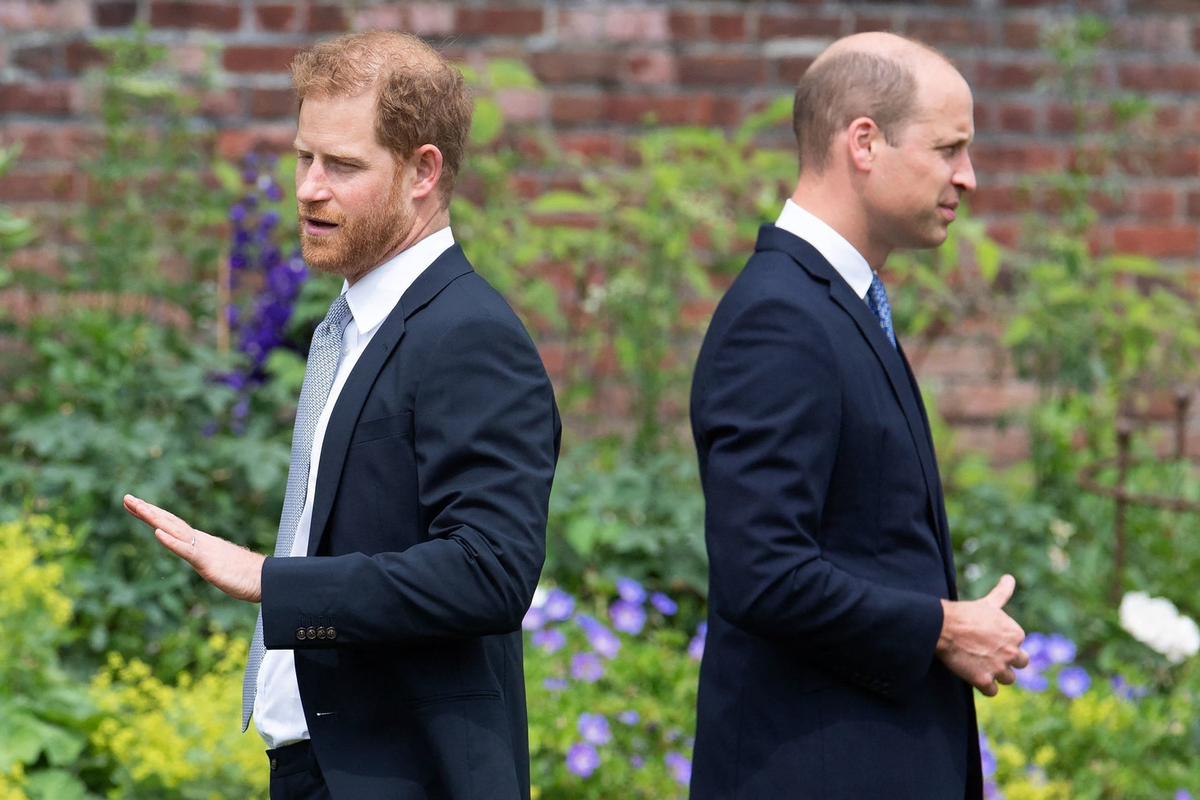 William had his birthday last. Принц Гарри и принц Уильям. Принц Гарри 2021. Принц Уильям 2021. Принц Гарри и Уильям 2022.