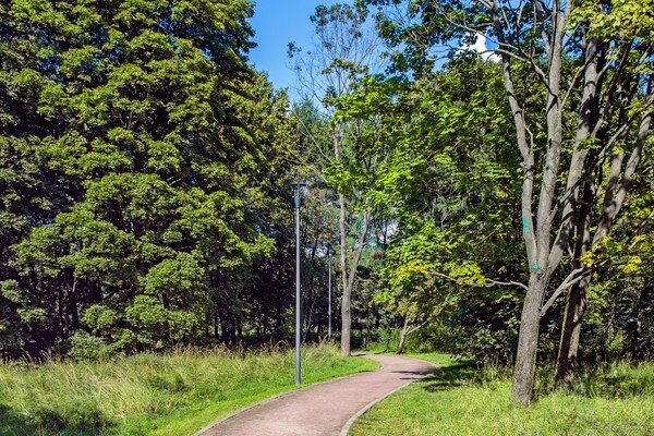 И проторенные дороги тоже хороши, особенно если ты по ним прежде не ходил ... С Воскресением Вас!   

Парк 50-летия Октября, Москва ...   

  