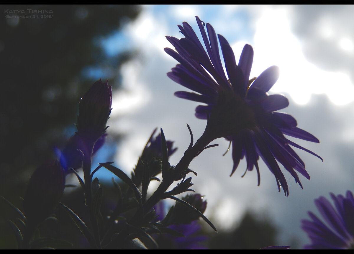 Листайте галерею, чтобы увидеть больше фотографий.
