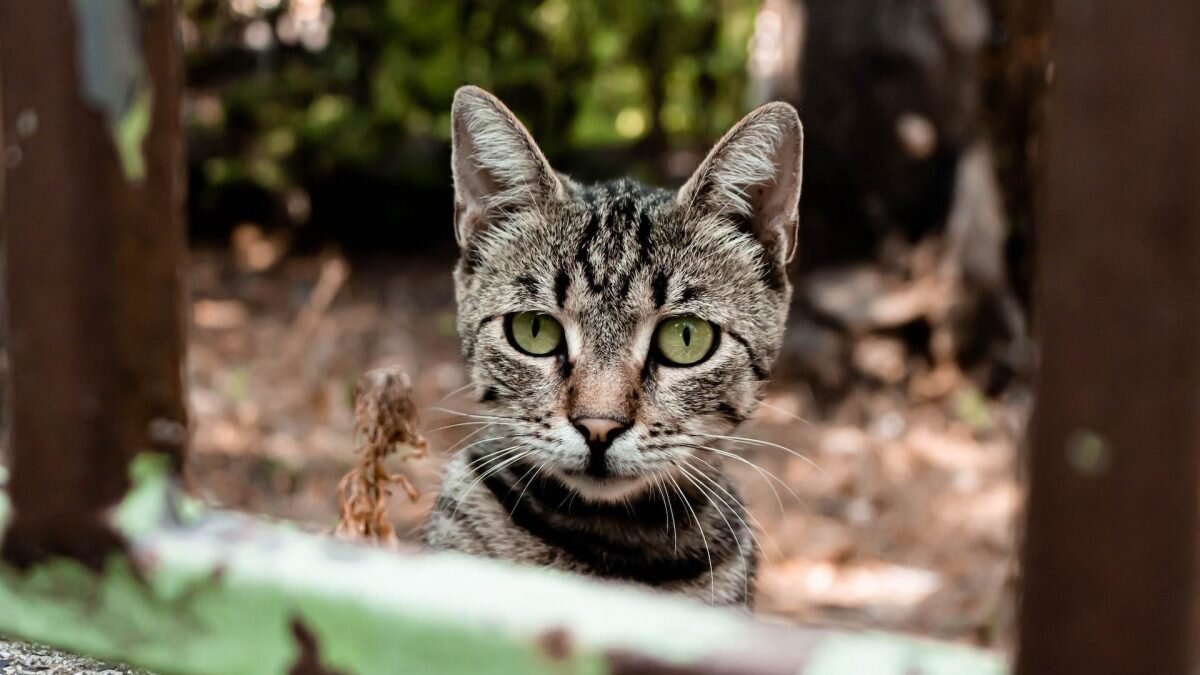    Фото: Unsplash Лия Миронова