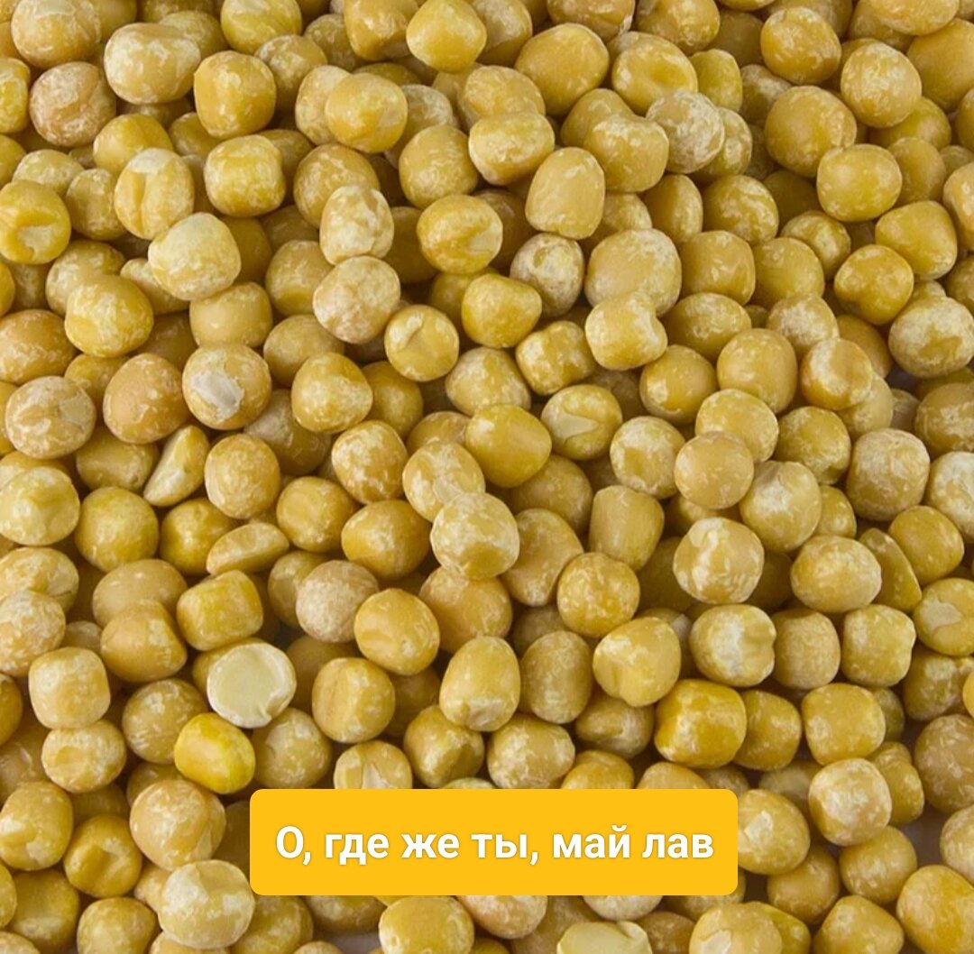 Нут бобовые. Горох как называется. Нут крупа. Горох как называется. Крупа похожая на горох.