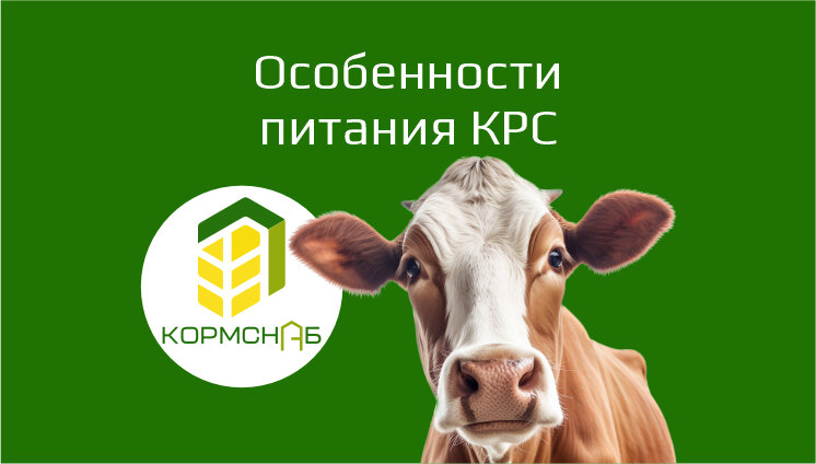 https://кормснаб.рф
