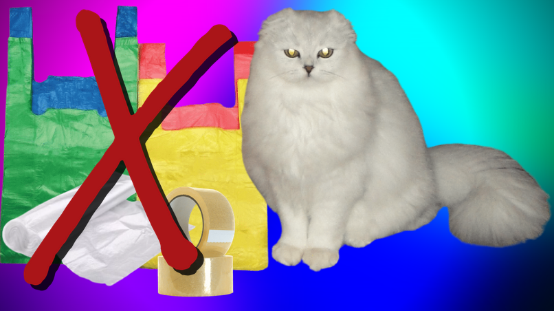 Ограничьте вашей кошке доступ к пластику