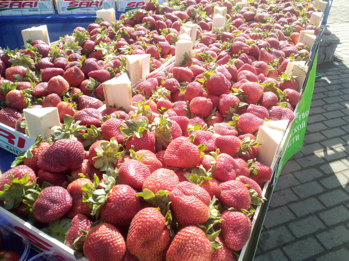 Привозная клубника не та... Фото автора