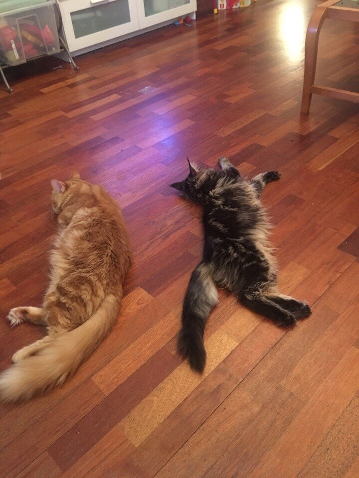 Фото из личного архива. 