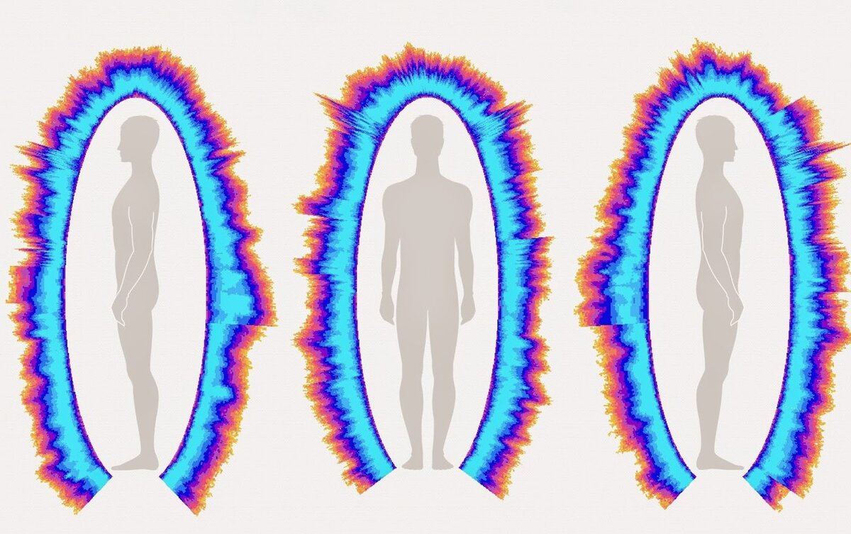 Электромагнитное поле человека и его роль в жизнедеятельности организма |  Лаборатория тонких энергий | Дзен
