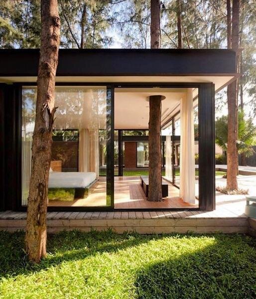 Стекло и живая природа созданы друг для друга