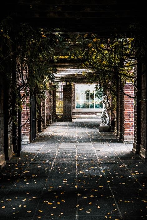  Free-Photos unsplash