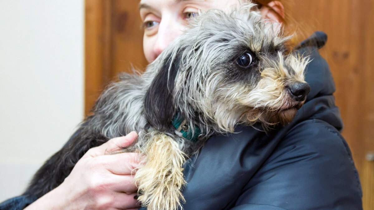 источник фото: severpost.ru