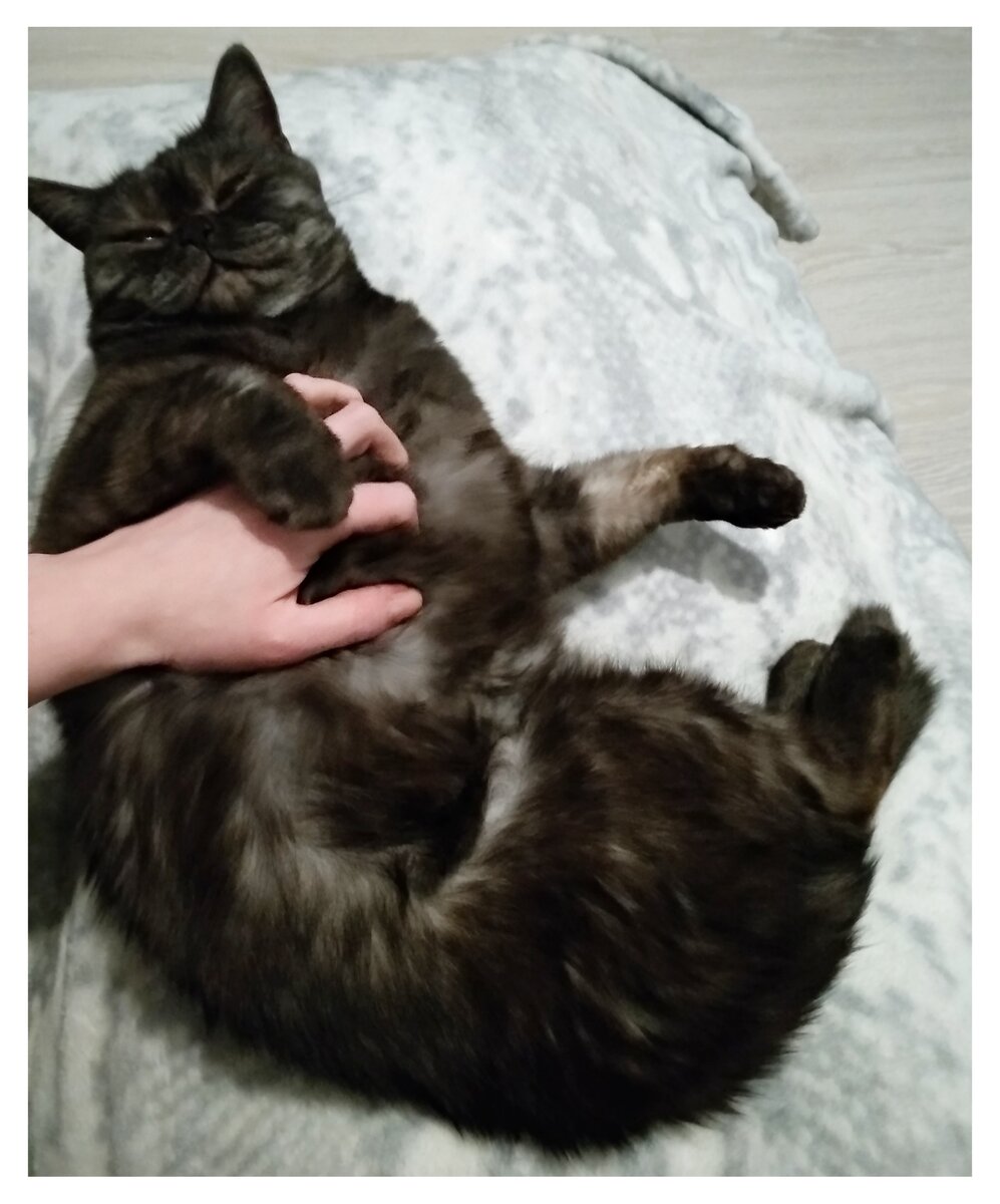 Мордашка такая, потому что ребёнок мурчит!