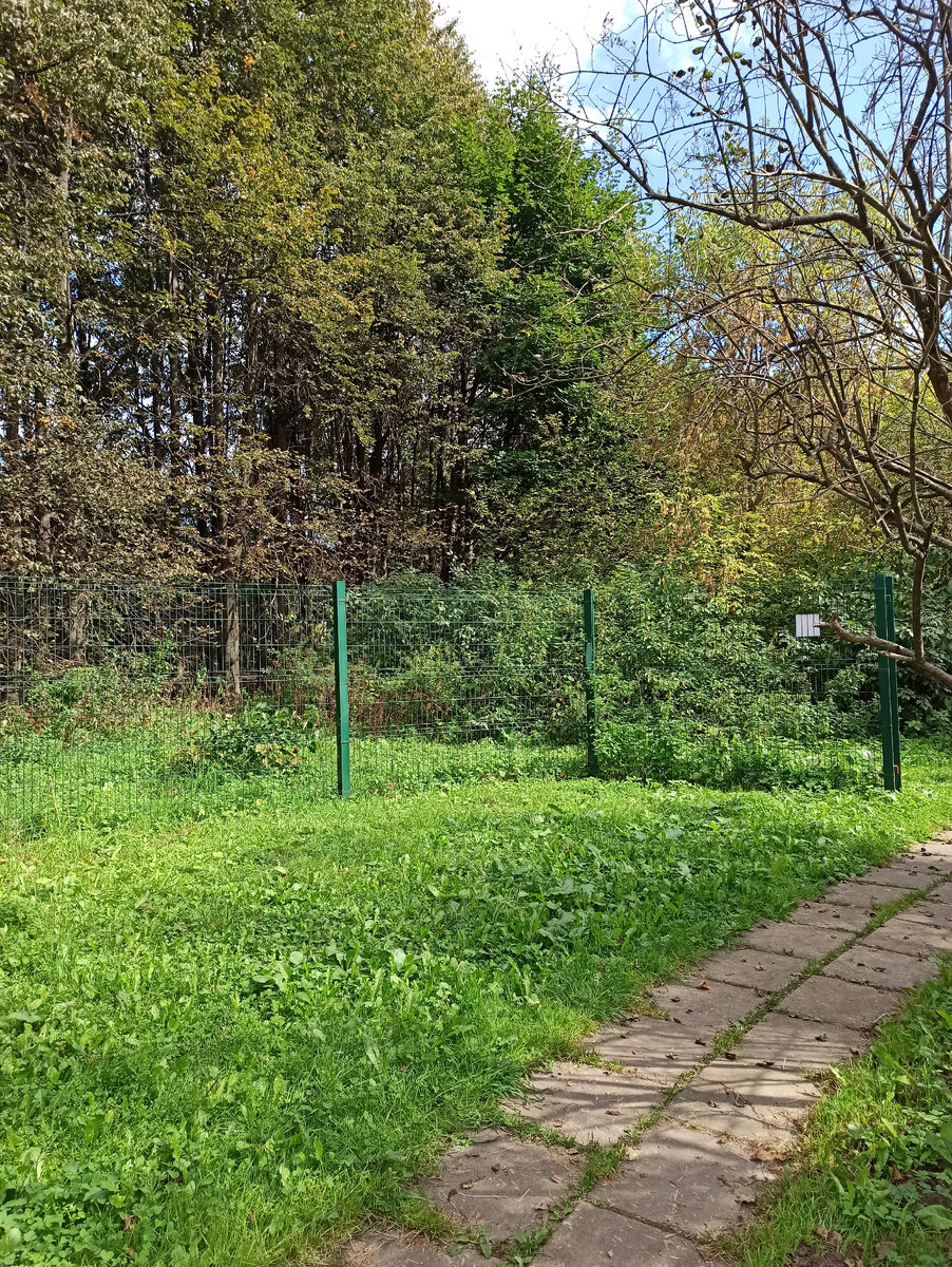 Вот такой забор