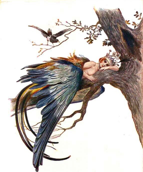 Сергей Соломко. Сирин 