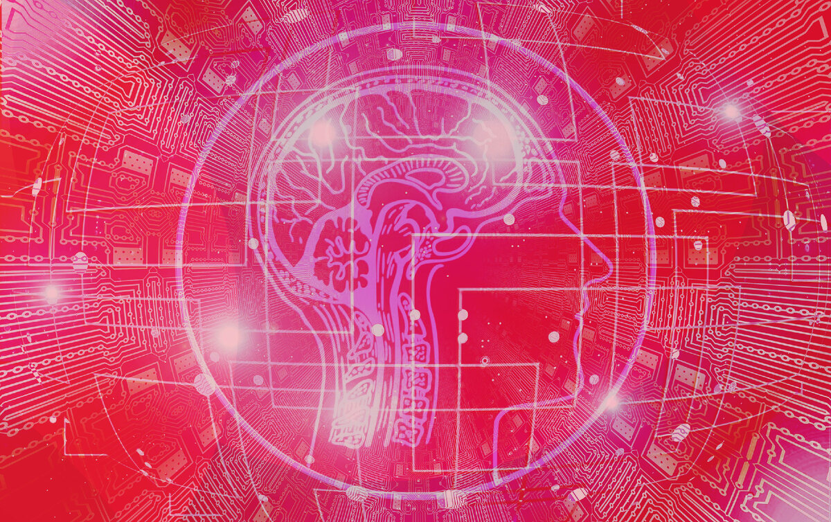 «Умные» базы – в помощь декларанту. Электронные сервисы ФТС в 2021 году ...