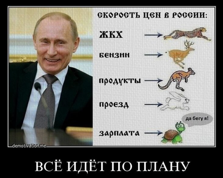 Планы путина на неделю