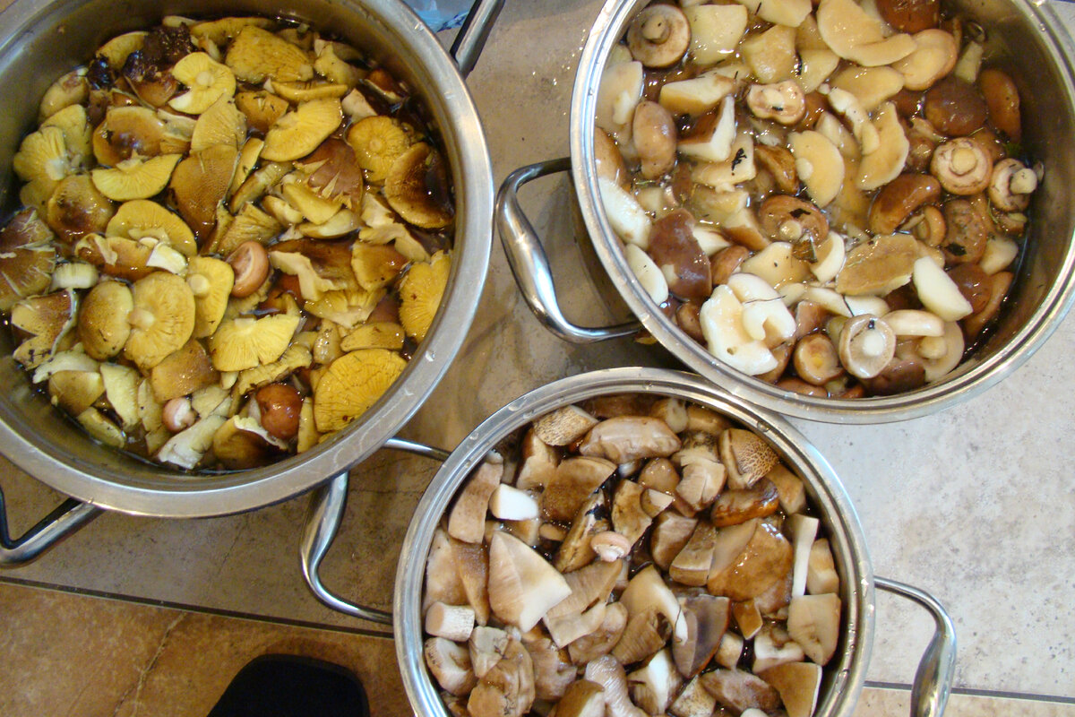 Фото автора. Август 2011.