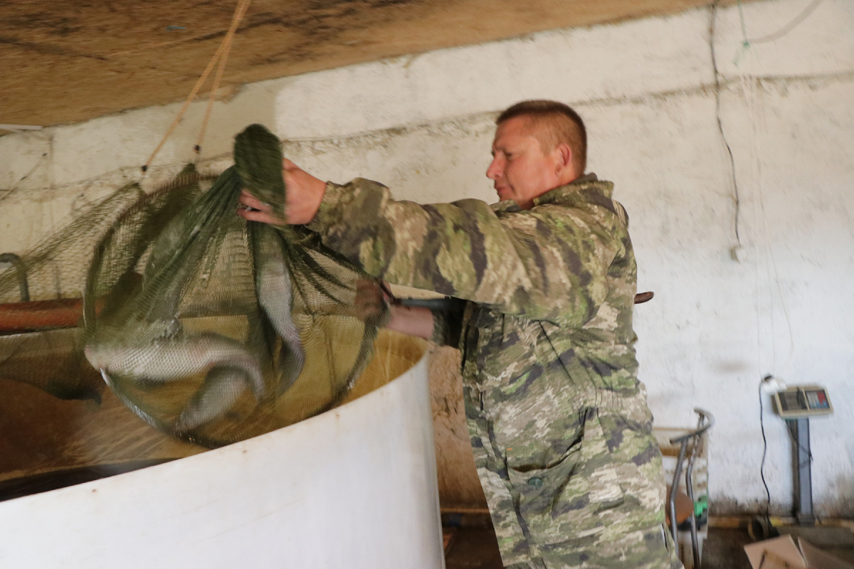 Ловись, рыбка, большая и малая