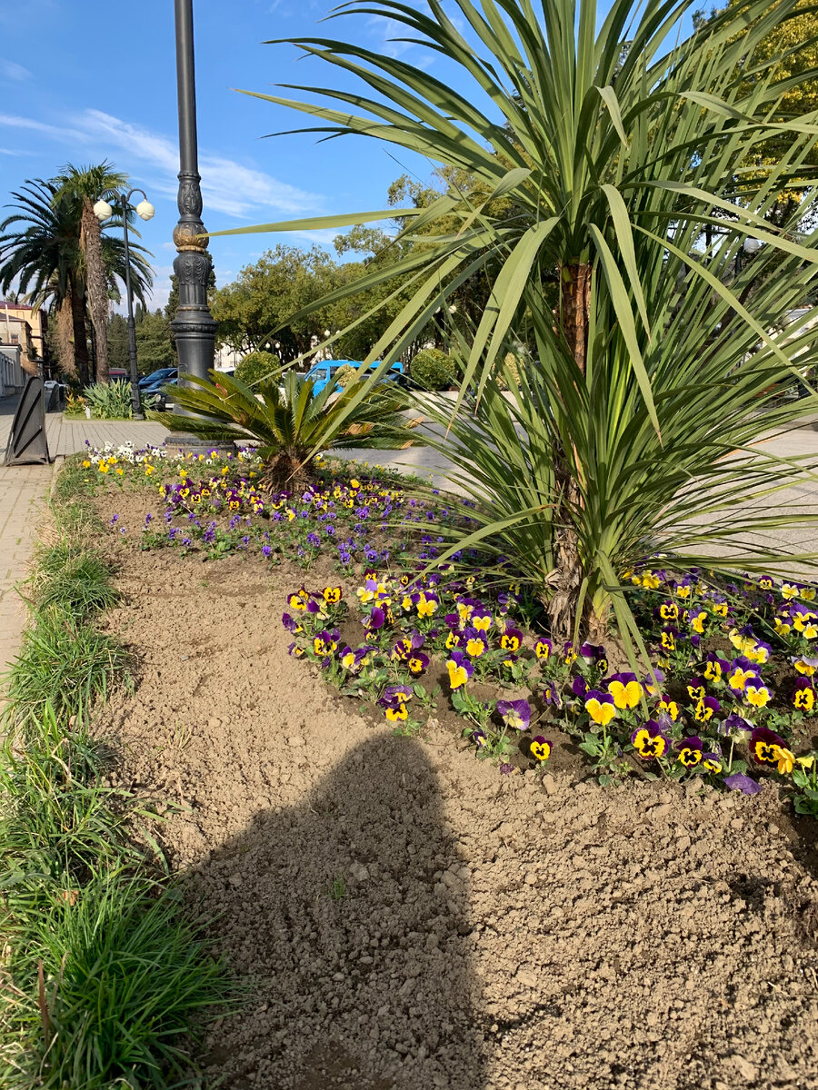 Сухум, авторское фото