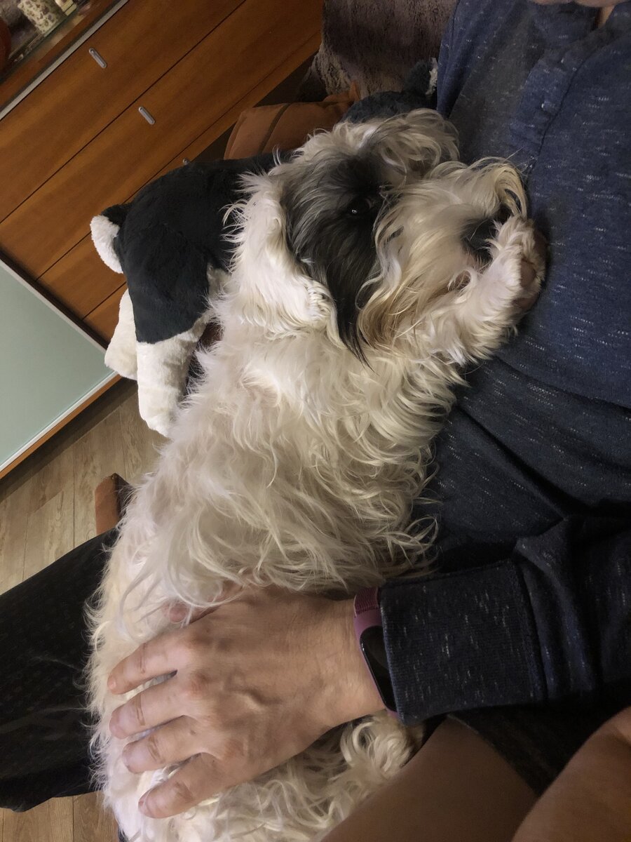 Любимый силихем 💚