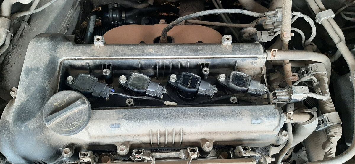 Вот они родимые