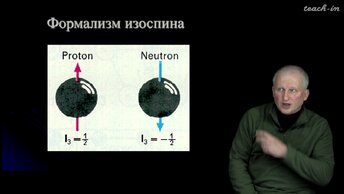 Широков Е.В. - Физика ядра и частиц - 5. Физика частиц. Часть 2