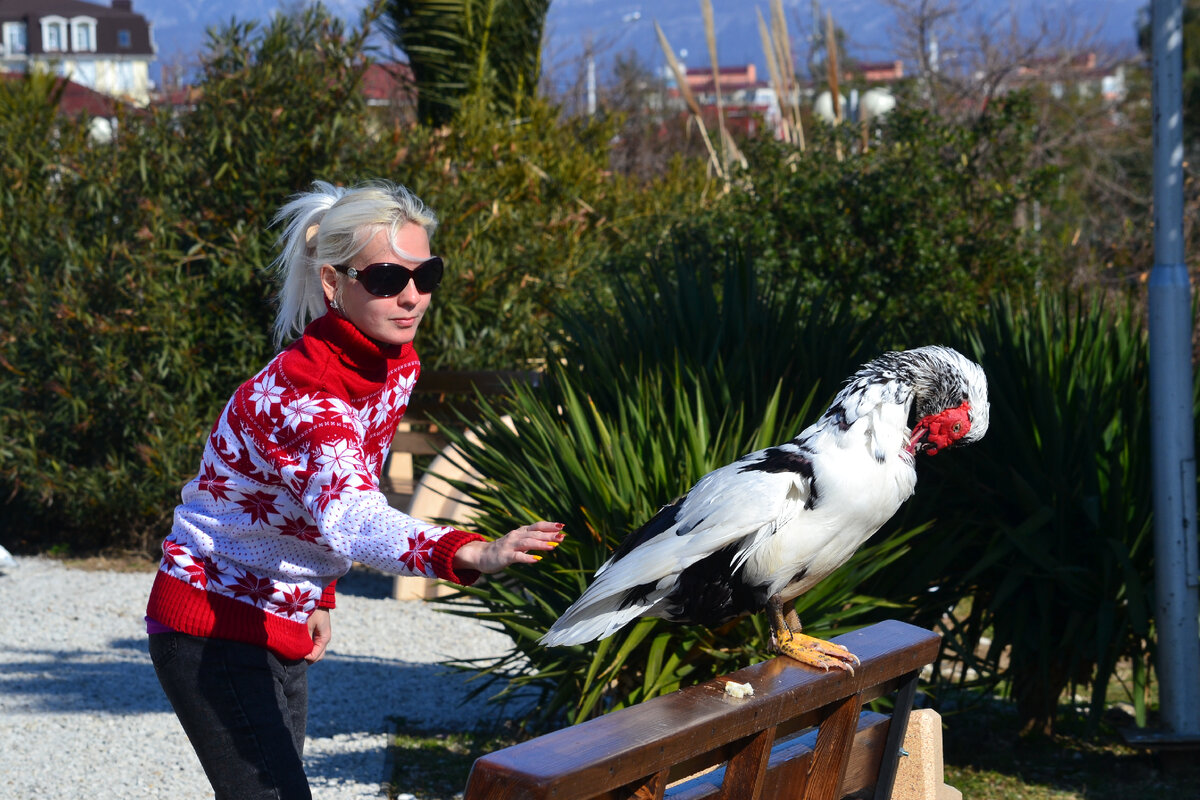 Хотела вставить сюда новогоднее фото. Достаточно новогоднее?)) 😄 В Орнитологическом парке в Имеретинской низменности. На фото автор канала. Вот примерно так автор и познавала, что за птица такая Дзен)))