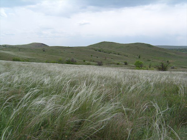 Фото из открытого источника Яндекс 