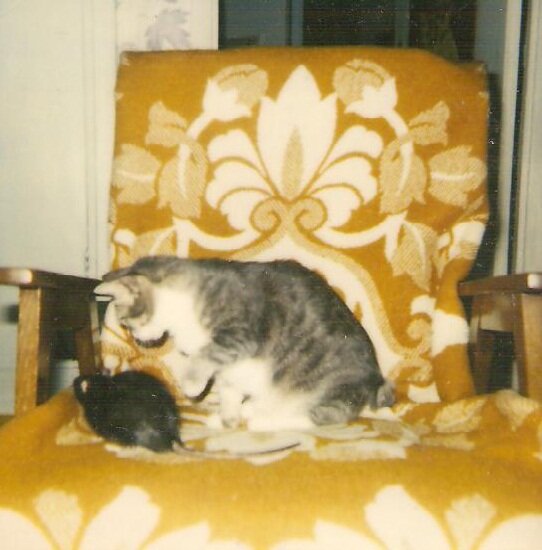 Снова Миша и Маша. фото из личного архива автора