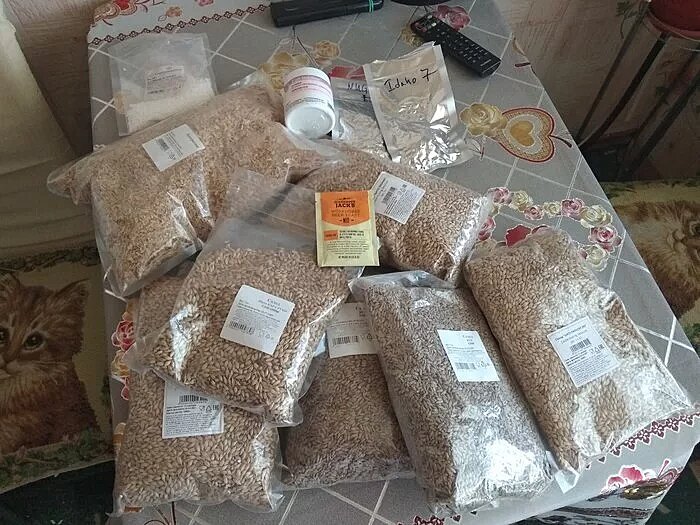 Rye - Ржаной (Crisp Malt)- 2 кг 
Pilsen 2 RS - Пильсен 2RS (Castle Malting) - 2 кг

Мюнхен (Castle Malting) - 0,5 кг

Кара Руби (Castle Malting) - 0,5 кг

Последние 2 добавил чтобы подчеркнуть вкус солода в пиве.

Далее подготовка воды:

Заторная вода - 20 литров

Промывочной воды нагретой до 78 градусов - 16 литра.
