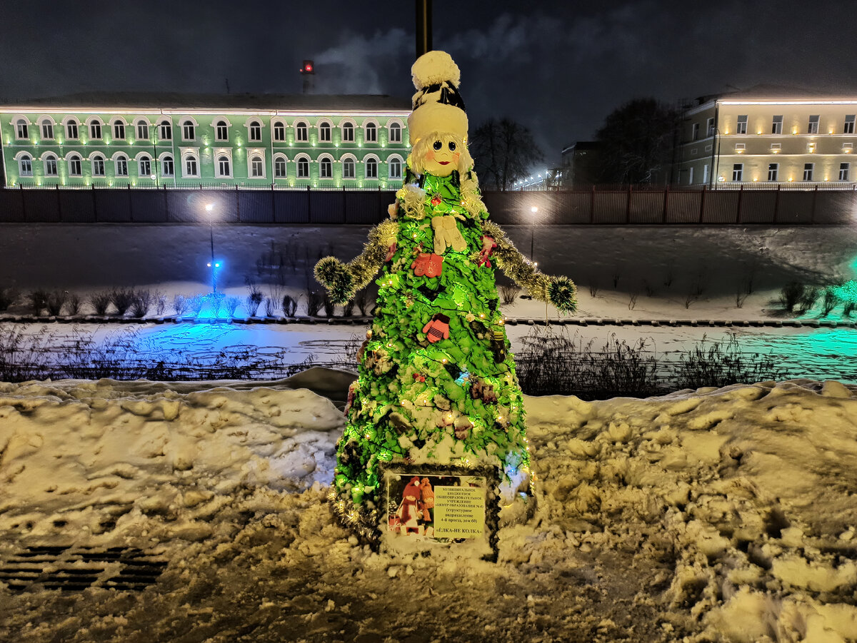 Фото автора.  Ёлка-победитель в номинации «Социальная елка»