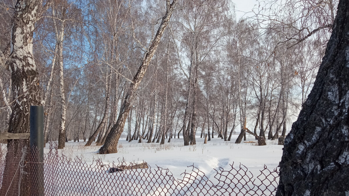 Вид за огородом.