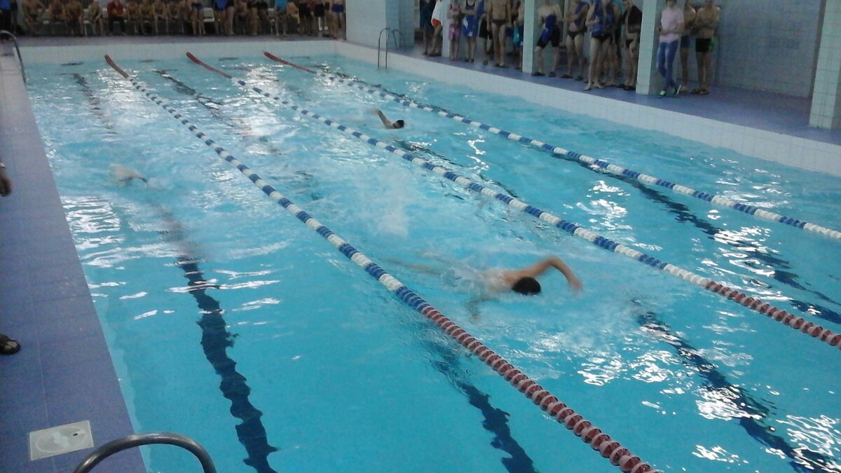 Бассейн спортклуба ДКБФ. Фото из интернета.