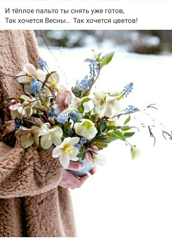 На краешке зимы и жду весну. Зимняя фотосессия в лесу. Подснежники среди зимы. На краешке зимы и жду весну. Девочка зима.