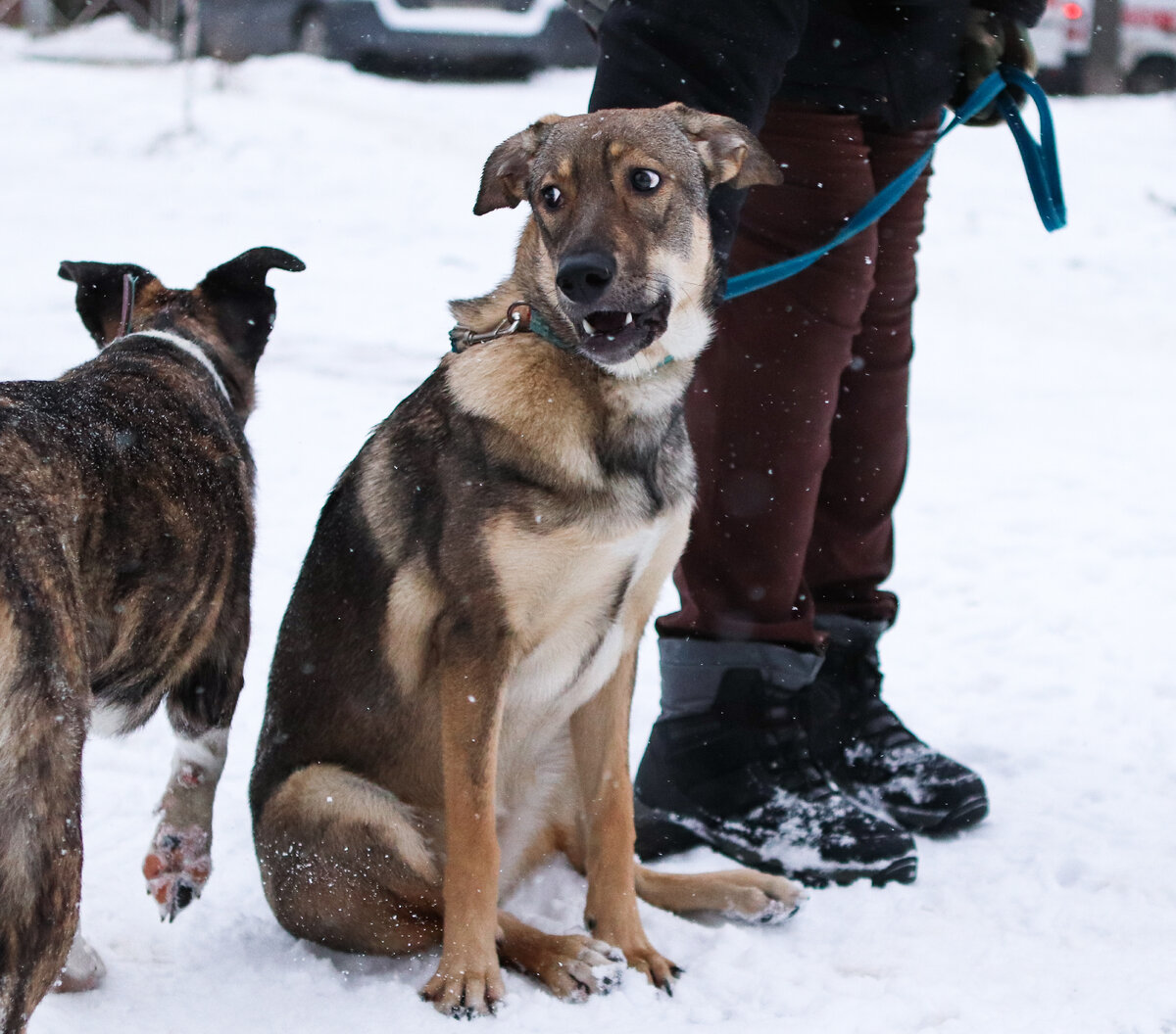 Важное, значительное не может успокоить нас... Утешает всегда мелочь, пустяк...