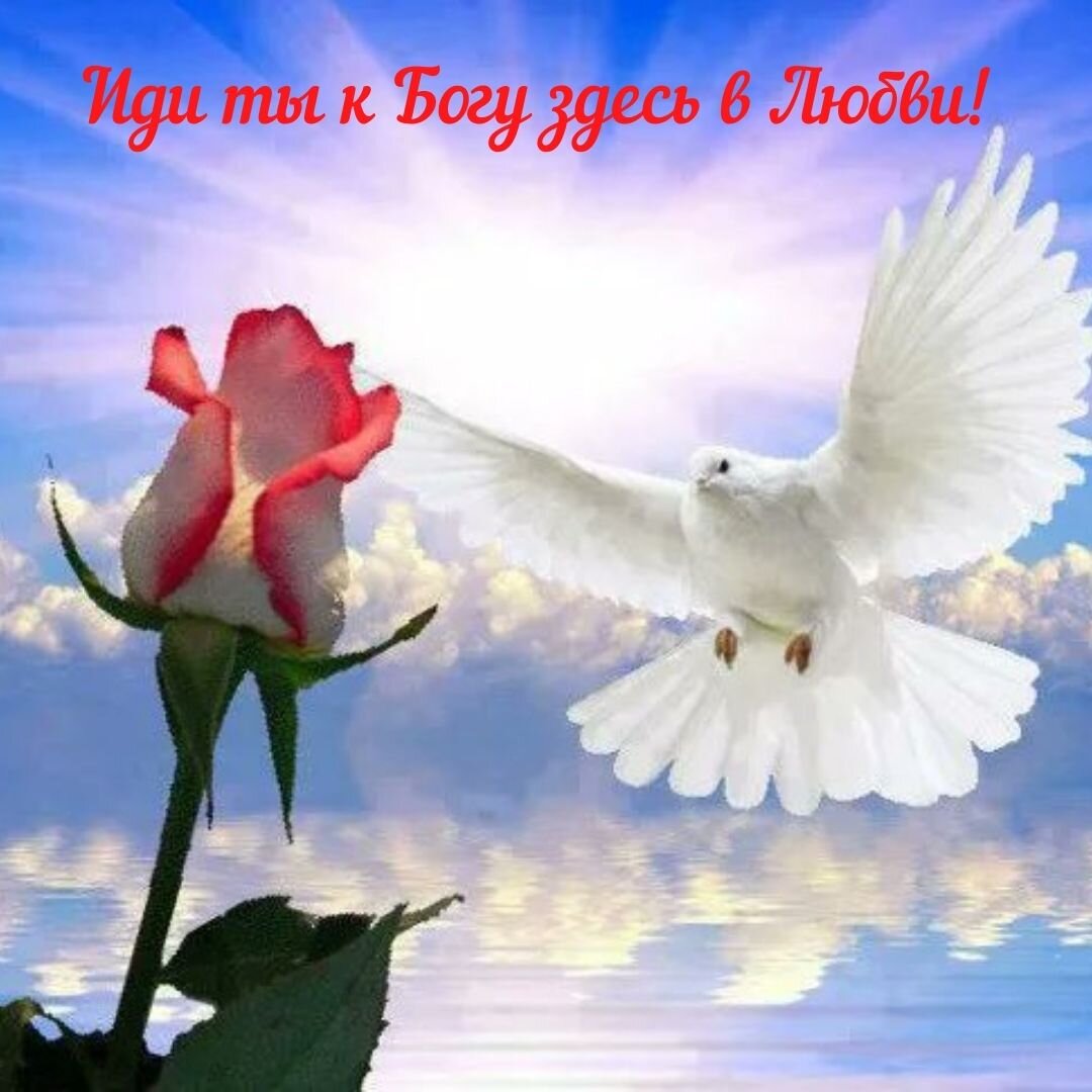 Мира и добра