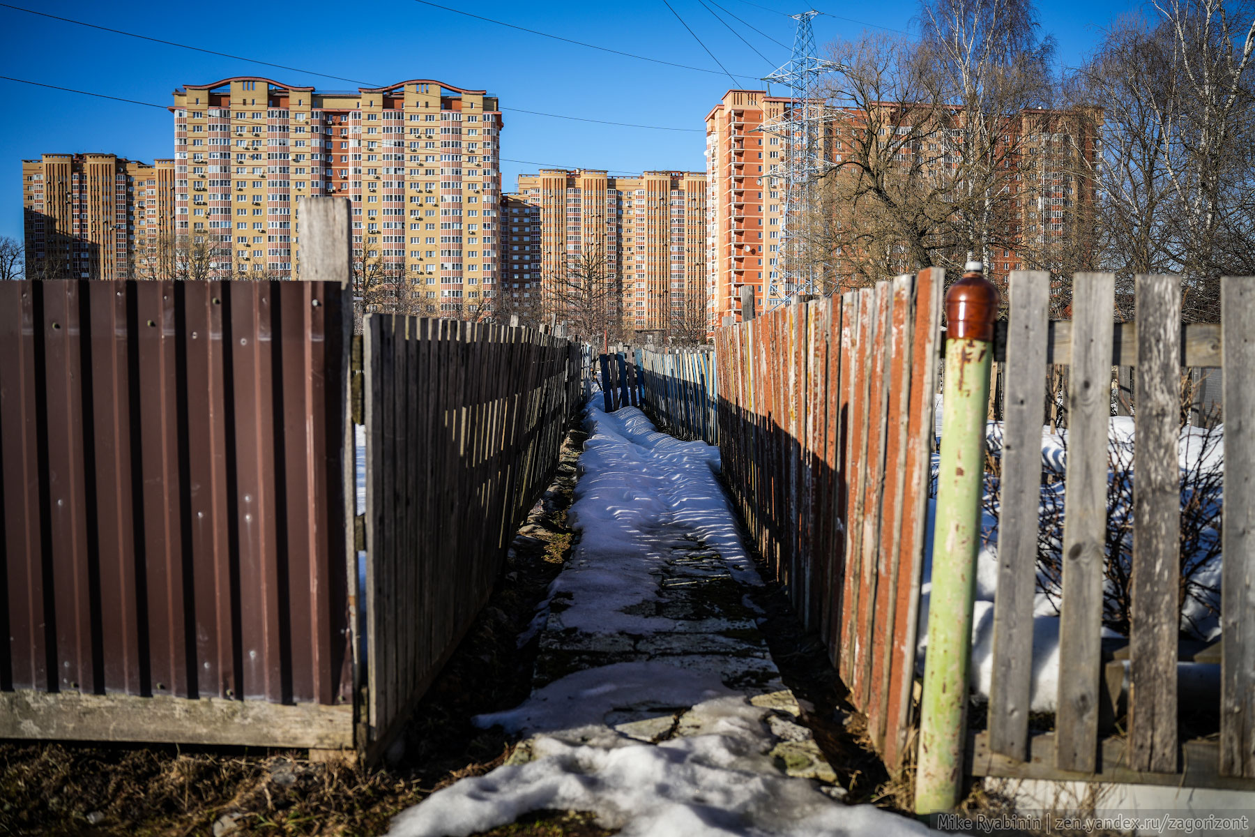 Инстинкт выживания: огороды для жителей городских кварталов3