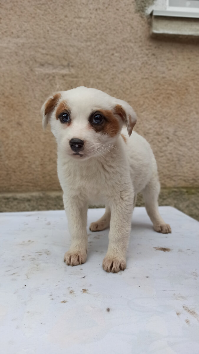 Бусе 2 месяца